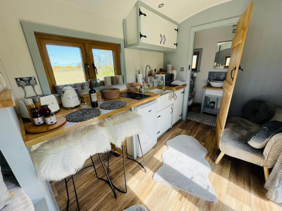 The Hut@Trefechan Wen - Coastal Coziness! Goodwick 外观 照片